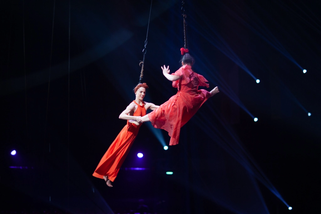 Festival du Cirque de Demain — MBTA Partner, Circus Harnesses & Belts — photo 2