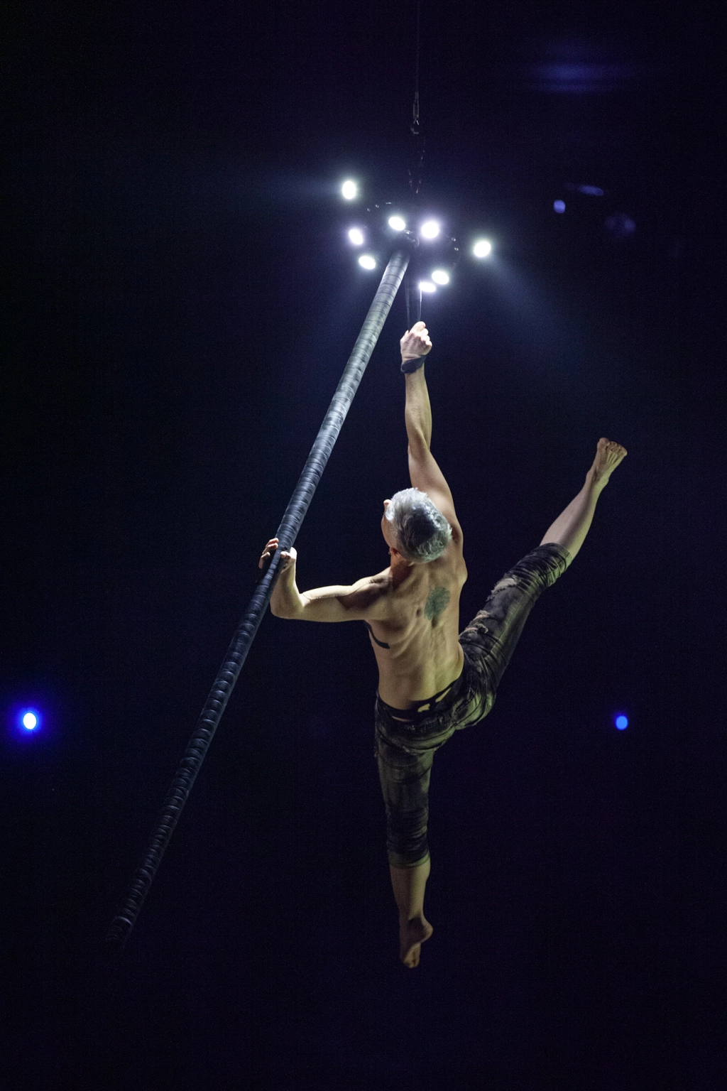 Festival du Cirque de Demain — MBTA Partner, Circus Harnesses & Belts — photo 3